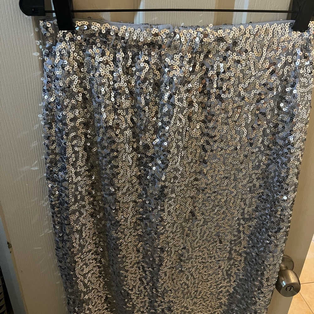 Beautiful silver pencil skirt. New, never worn.